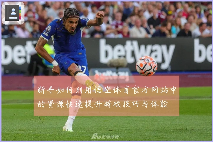 新手如何利用悟空体育官方网站中的资源快速提升游戏技巧与体验