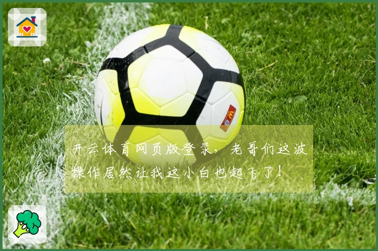 开云体育网页版登录，老哥们这波操作居然让我这小白也起飞了！