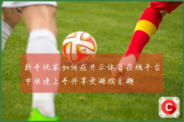 新手玩家如何在开云体育在线平台中快速上手并享受游戏乐趣