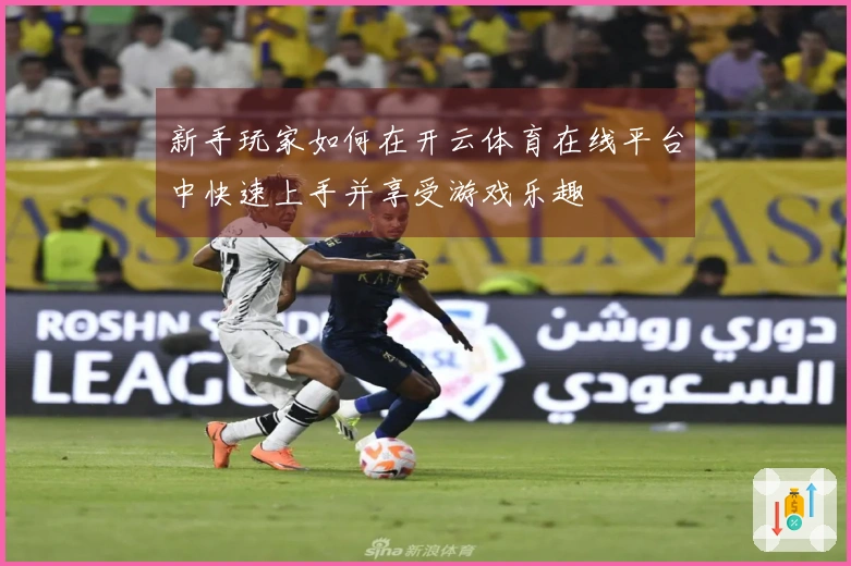 新手玩家如何在开云体育在线平台中快速上手并享受游戏乐趣