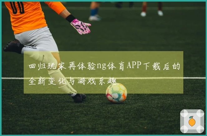 回归玩家再体验ng体育APP下载后的全新变化与游戏乐趣