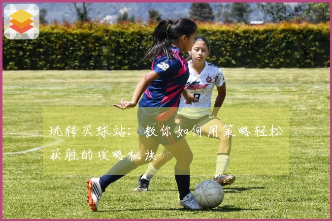 玩转买球站：教你如何用策略轻松获胜的攻略秘诀