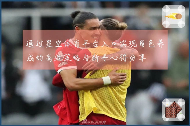 通过星空体育平台入口实现角色养成的高效策略与新手心得分享